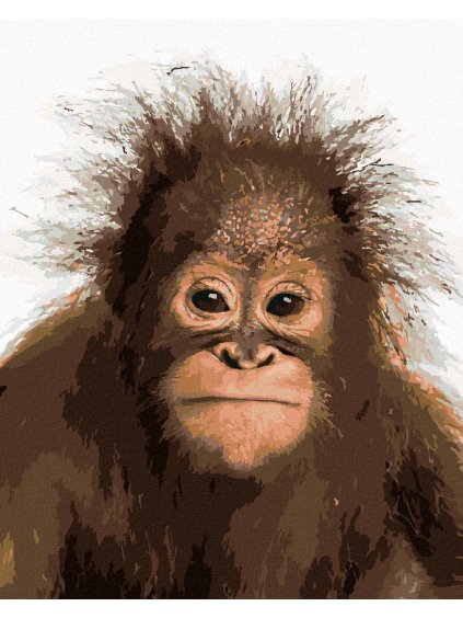 Diamantové maľovanie - MLADÝ ORANGUTÁN (Rámovanie bez rámu a bez vypnutia plátna, Rozmer 40x50 cm)