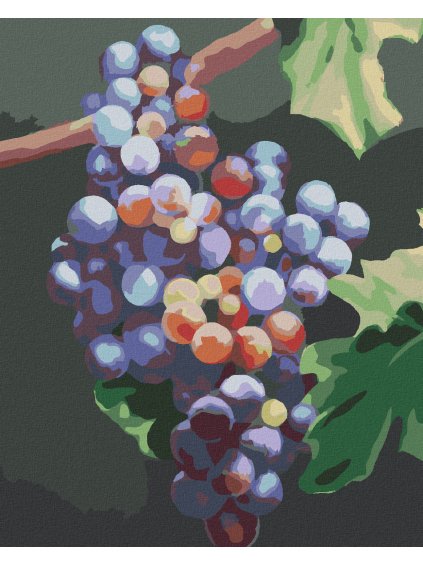 Diamantové maľovanie - MODRÉ HROZNO (MYROSLAVA VOLOSCHUK) (Rámovanie bez rámu a bez vypnutia plátna, Rozmer 40x50 cm)