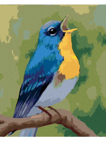 Diamantové maľovanie - MODRÝ VTÁČIK (MYROSLAVA VOLOSCHUK) (Rámovanie bez rámu a bez vypnutia plátna, Rozmer 40x50 cm)