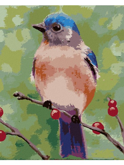 Diamantové maľovanie - MODRÝ VTÁČIK NA KONÁRIKU (MYROSLAVA VOLOSCHUK) (Rámovanie bez rámu a bez vypnutia plátna, Rozmer 40x50 cm)