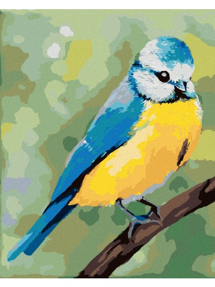 Diamantové maľovanie - MODRÝ VTÁČIK SEDIACI NA KONÁRIKU (MYROSLAVA VOLOSCHUK) (Rámovanie bez rámu a bez vypnutia plátna, Rozmer 40x50 cm)