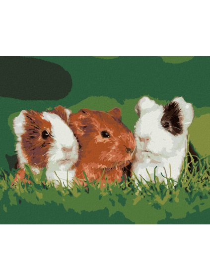 Diamantové maľovanie - MORČATÁ V TRÁVE (Rámovanie bez rámu a bez vypnutia plátna, Rozmer 40x50 cm)