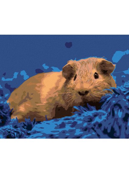 Diamantové maľovanie - MORČA NA MODROM KOBERCI (Rámovanie bez rámu a bez vypnutia plátna, Rozmer 40x50 cm)