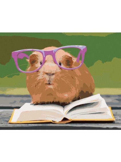 Diamantové maľovanie - MORČA V OKULIAROCH ČÍTA KNIŽKU (Rámovanie bez rámu a bez vypnutia plátna, Rozmer 40x50 cm)