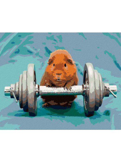 Diamantové maľovanie - MORČA VO FITKU (Rámovanie bez rámu a bez vypnutia plátna, Rozmer 40x50 cm)