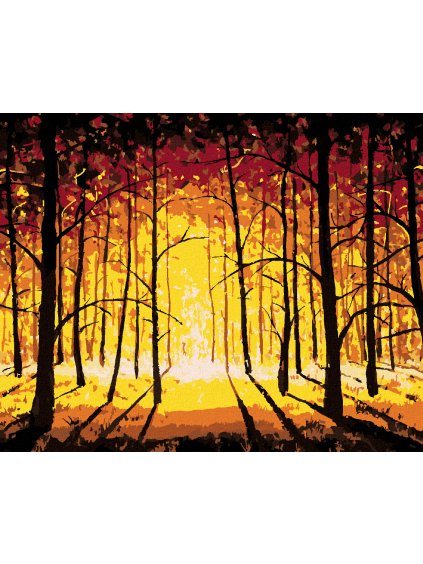 Diamantové maľovanie - ZÁPAD SLNKA V JESENNOM LESE (Rámovanie bez rámu a bez vypnutia plátna, Rozmer 40x50 cm)