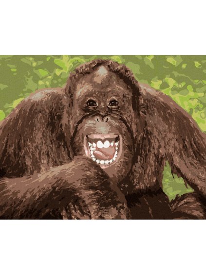 Diamantové maľovanie - VYSMIATY ORANGUTAN (Rámovanie bez rámu a bez vypnutia plátna, Rozmer 40x50 cm)
