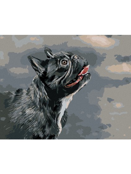 Diamantové maľovanie - DÍVAJÚCI SA FRANCÚZSKY BULDOČEK (Rámovanie bez rámu a bez vypnutia plátna, Rozmer 40x50 cm)