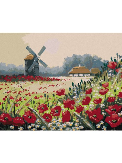 Diamantové maľovanie - VLČIE MAKY PRI LESE (Rámovanie bez rámu a bez vypnutia plátna, Rozmer 40x50 cm)