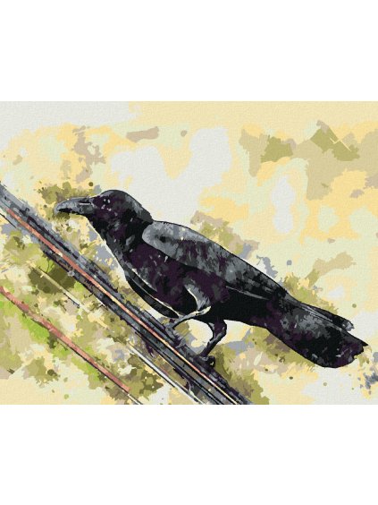 Diamantové maľovanie - VRANA NA DRÔTE (Rámovanie bez rámu a bez vypnutia plátna, Rozmer 40x50 cm)