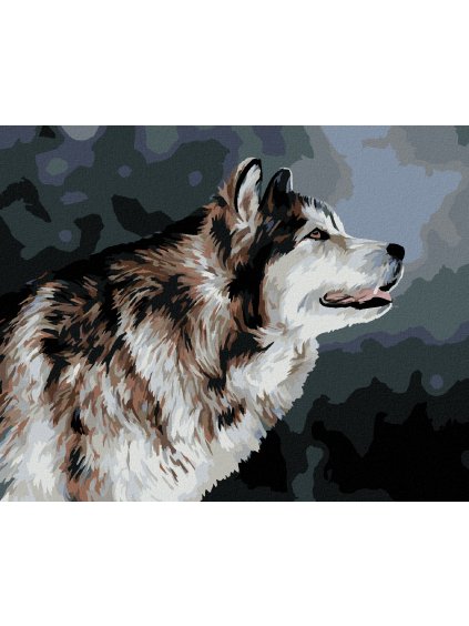 Diamantové maľovanie - DÍVAJÚCI SA HUSKY (Rámovanie bez rámu a bez vypnutia plátna, Rozmer 40x50 cm)