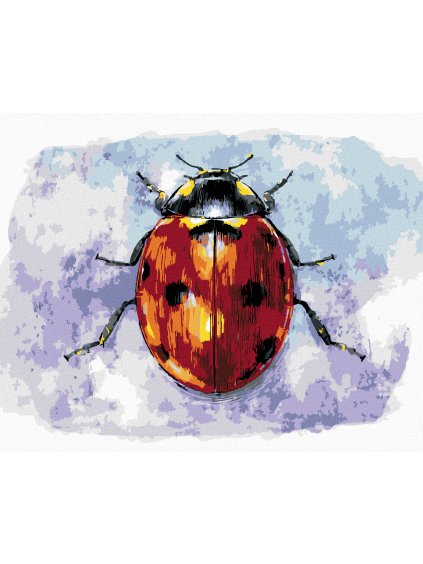 Diamantové maľovanie - VEĽKÁ LIENKA (Rámovanie bez rámu a bez vypnutia plátna, Rozmer 40x50 cm)