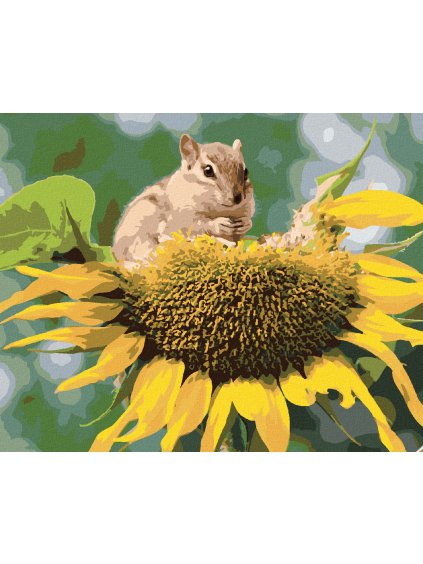 Diamantové maľovanie - VEVERIČKA PRI SLNEČNICI (Rámovanie bez rámu a bez vypnutia plátna, Rozmer 40x50 cm)