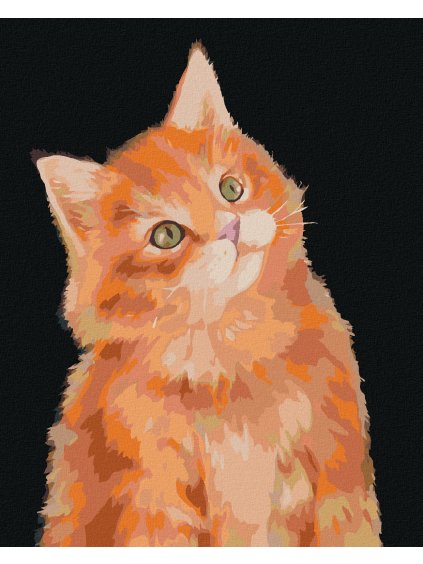 Diamantové maľovanie - RYŠAVÝ KOCÚR NA TMAVOM POZADÍ (MYROSLAVA VOLOSCHUK) (Rámovanie bez rámu a bez vypnutia plátna, Rozmer 40x50 cm)