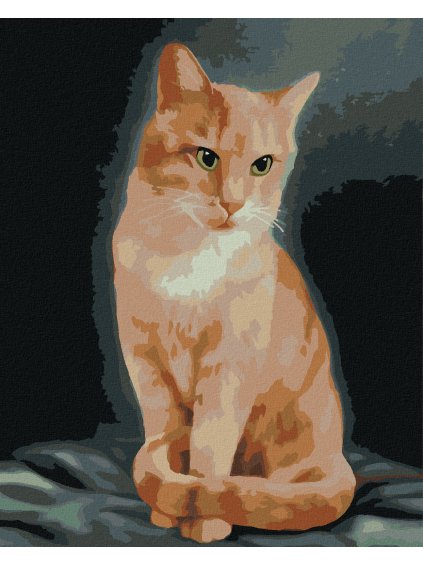 Diamantové maľovanie - RYŠAVÝ KOCÚR (MYROSLAVA  VOLOSCHUK) (Rámovanie bez rámu a bez vypnutia plátna, Rozmer 40x50 cm)