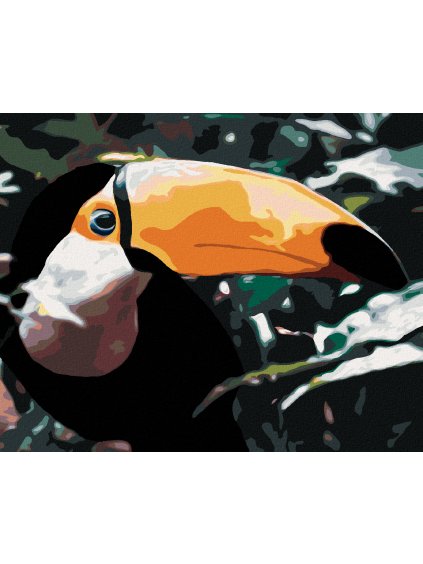 Diamantové maľovanie - TUKAN V LESE (Rámovanie bez rámu a bez vypnutia plátna, Rozmer 40x50 cm)