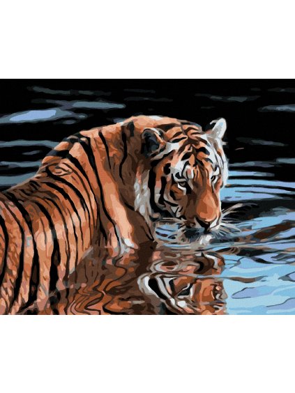 Diamantové maľovanie - TIGER VO VODE (Rámovanie bez rámu a bez vypnutia plátna, Rozmer 40x50 cm)