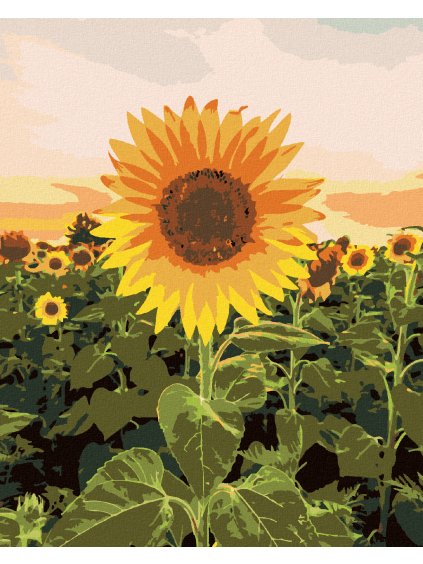 Diamantové maľovanie - ÚŽASNÁ SLNEČNICA (Rámovanie bez rámu a bez vypnutia plátna, Rozmer 40x50 cm)