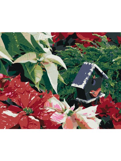 Diamantové maľovanie - VIANOČNÉ RUŽE (DENNIS FRATES) (Rámovanie bez rámu a bez vypnutia plátna, Rozmer 40x50 cm)