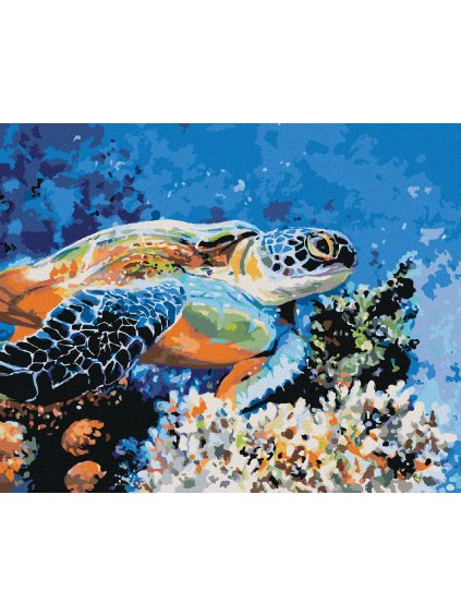 Diamantové maľovanie - MORSKÁ KORYTNAČKA (Rámovanie bez rámu a bez vypnutia plátna, Rozmer 40x50 cm)