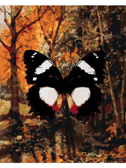 Diamantové maľovanie - MOTÝĽ V JESENNOM LESE (Rámovanie bez rámu a bez vypnutia plátna, Rozmer 40x50 cm)