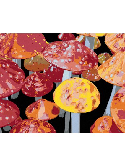 Diamantové maľovanie - MUCHOTRÁVKY (DENNIS FRATES) (Rámovanie bez rámu a bez vypnutia plátna, Rozmer 40x50 cm)