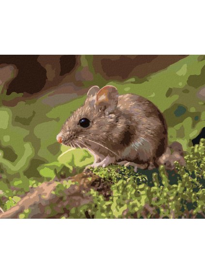 Diamantové maľovanie - MYŠKA ODPOČÍVAJÚCA V LESE (Rámovanie bez rámu a bez vypnutia plátna, Rozmer 40x50 cm)
