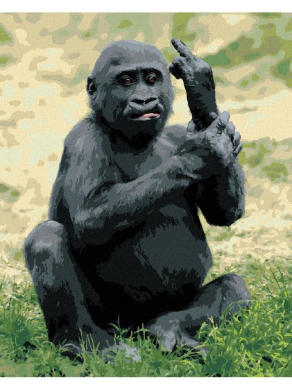 Diamantové maľovanie - NAŠTVANÁ GORILA (Rámovanie bez rámu a bez vypnutia plátna, Rozmer 40x50 cm)