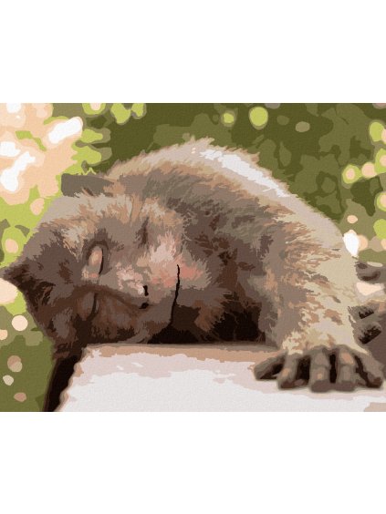 Diamantové maľovanie - ODPOČÍVAJÚCE OPICE (Rámovanie bez rámu a bez vypnutia plátna, Rozmer 40x50 cm)