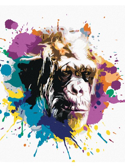 Diamantové maľovanie - OPIČIA HLAVA NA FAREBNOM POZADÍ (Rámovanie bez rámu a bez vypnutia plátna, Rozmer 40x50 cm)