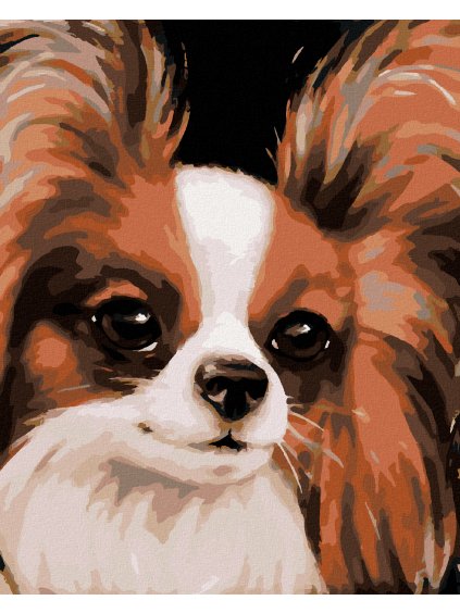 Diamantové maľovanie - PAPILLON (MYROSLAVA VOLOSCHUK) (Rámovanie bez rámu a bez vypnutia plátna, Rozmer 40x50 cm)