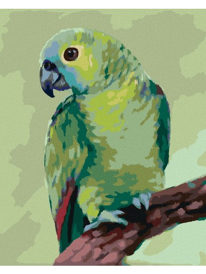 Diamantové maľovanie - PAPAGÁJ (MYROSLAVA VOLOSCHUK) (Rámovanie bez rámu a bez vypnutia plátna, Rozmer 40x50 cm)