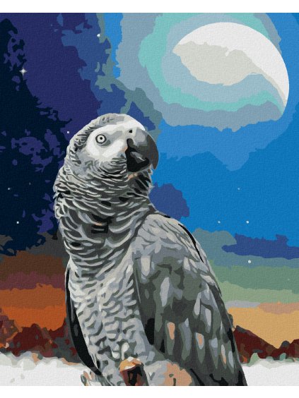 Diamantové maľovanie - PAPAGÁJ A MESIAC (Rámovanie bez rámu a bez vypnutia plátna, Rozmer 40x50 cm)
