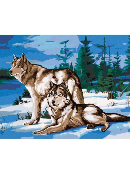 Diamantové maľovanie - PÁR VLKOV PRI LESE (Rámovanie bez rámu a bez vypnutia plátna, Rozmer 40x50 cm)
