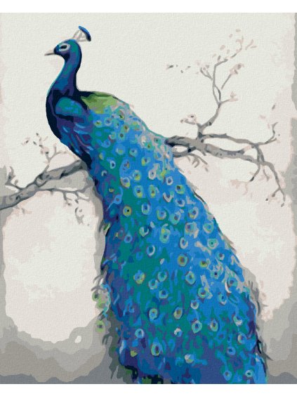 Diamantové maľovanie - PÁV NA VETVE (Rámovanie bez rámu a bez vypnutia plátna, Rozmer 40x50 cm)