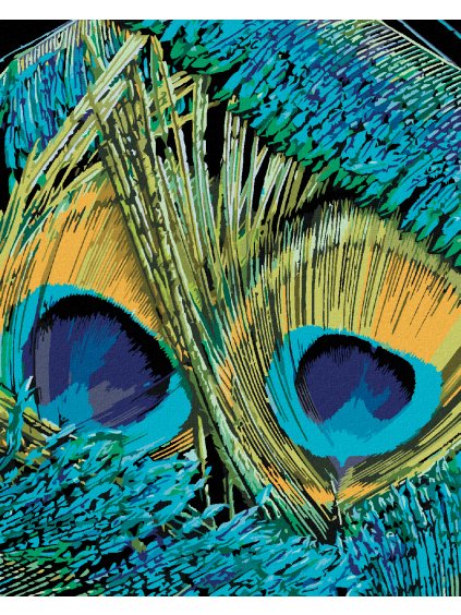 Diamantové maľovanie - PÁVIE PERÁ (DENNIS FRATES) (Rámovanie bez rámu a bez vypnutia plátna, Rozmer 40x50 cm)