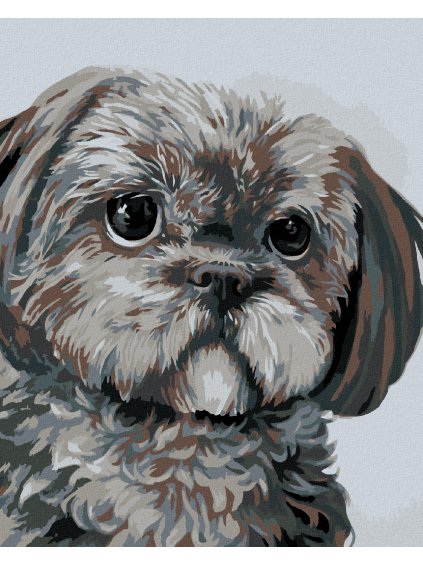Diamantové maľovanie - PSÍK (MYROSLAVA VOLOSCHUK) (Rámovanie bez rámu a bez vypnutia plátna, Rozmer 40x50 cm)