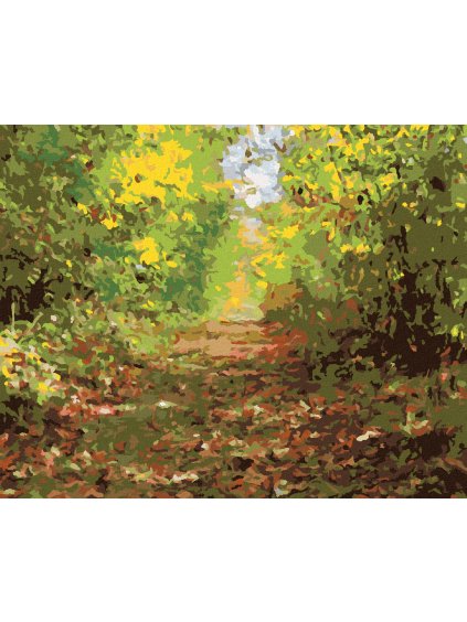 Diamantové maľovanie - PEŠIA ULIČKA V LESE (Rámovanie bez rámu a bez vypnutia plátna, Rozmer 40x50 cm)