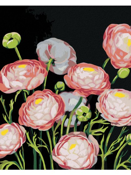 Diamantové maľovanie - PIVÓNIE (MYROSLAVA VOLOSCHUK) (Rámovanie bez rámu a bez vypnutia plátna, Rozmer 40x50 cm)