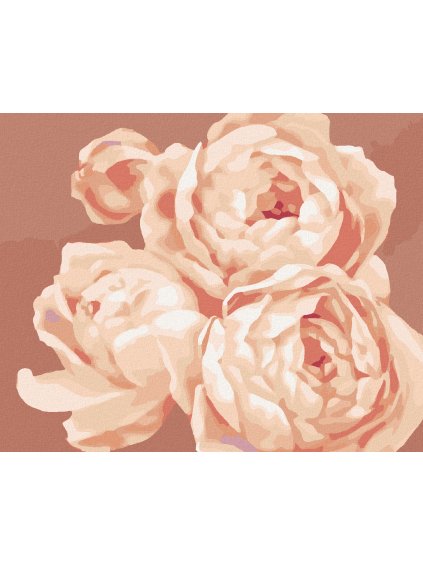 Diamantové maľovanie - PIVÓNIE 2 (MYROSLAVA VOLOSCHUK) (Rámovanie bez rámu a bez vypnutia plátna, Rozmer 40x50 cm)