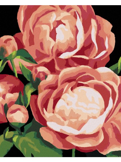 Diamantové maľovanie - PIVÓNIE 3 (MYROSLAVA VOLOSCHUK) (Rámovanie bez rámu a bez vypnutia plátna, Rozmer 40x50 cm)