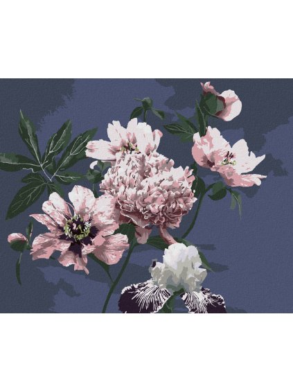 Diamantové maľovanie - PIVÓNIE NA ČIERNOM POZADIÍ (Rámovanie bez rámu a bez vypnutia plátna, Rozmer 40x50 cm)