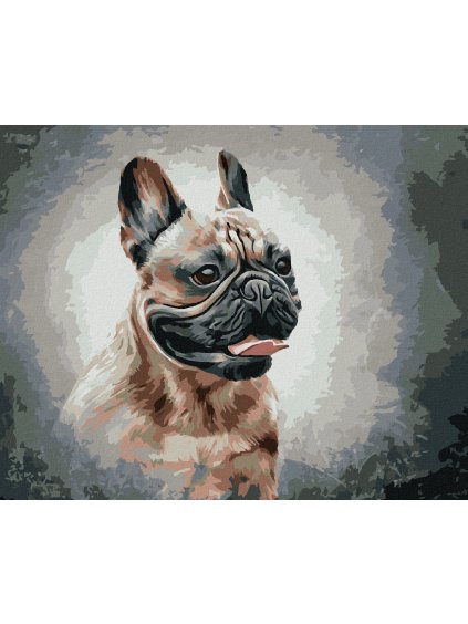 Diamantové maľovanie - ŠŤASTNÝ FRANCÚZSKY BULDOČEK (Rámovanie bez rámu a bez vypnutia plátna, Rozmer 40x50 cm)