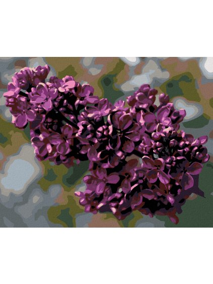 Diamantové maľovanie - ORGOVÁN (Rámovanie bez rámu a bez vypnutia plátna, Rozmer 40x50 cm)