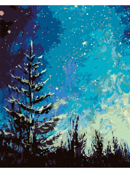 Diamantové maľovanie - STROM A NOČNÁ OBLOHA V LESE (Rámovanie bez rámu a bez vypnutia plátna, Rozmer 40x50 cm)