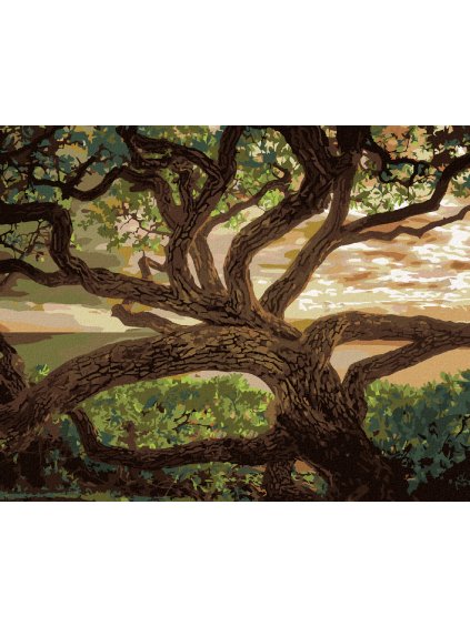 Diamantové maľovanie - STARÝ STROM (DENNIS FRATES) (Rámovanie bez rámu a bez vypnutia plátna, Rozmer 40x50 cm)