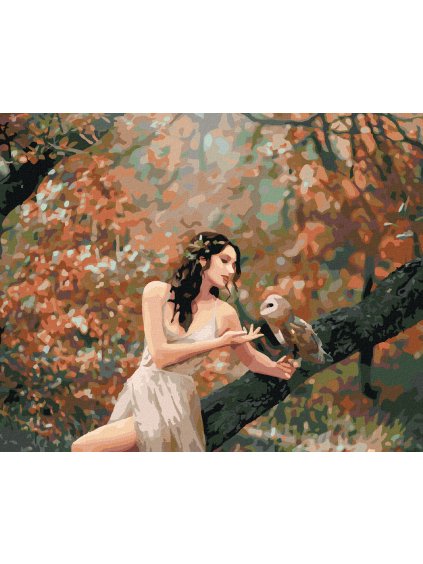 Diamantové maľovanie - ROZPRÁVKOVÉ DIEVČA SO SOVOU V LESE (Rámovanie bez rámu a bez vypnutia plátna, Rozmer 40x50 cm)