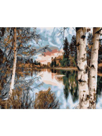 Diamantové maľovanie - POHĽAD CEZ BREZY (Rámovanie bez rámu a bez vypnutia plátna, Rozmer 40x50 cm)