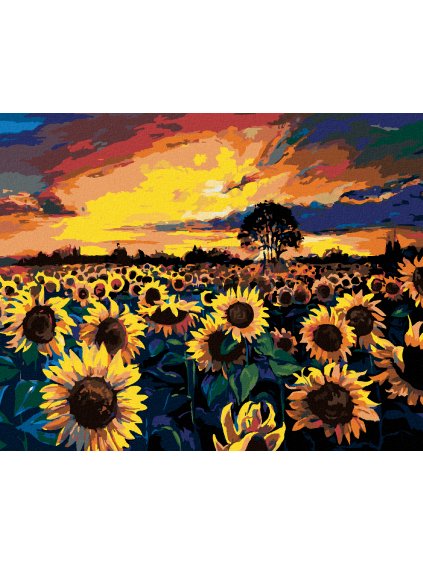Diamantové maľovanie - POLE PLNÉ SLNEČNÍC (Rámovanie bez rámu a bez vypnutia plátna, Rozmer 40x50 cm)