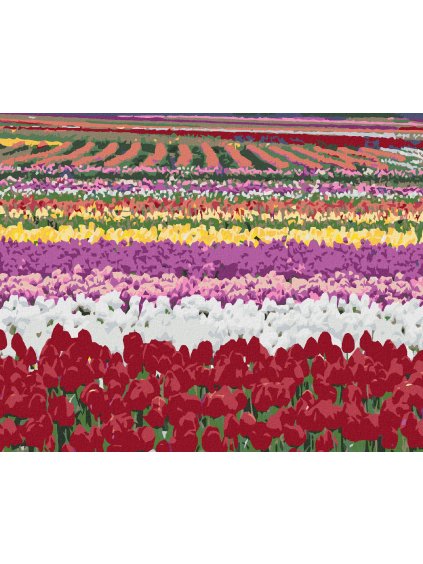 Diamantové maľovanie - POLE TULIPÁNOV (DENNIS FRATES) (Rámovanie bez rámu a bez vypnutia plátna, Rozmer 40x50 cm)